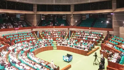 জ্বালানি সংকটে সংসদে ১০ সদস্যের কমিটি গঠন