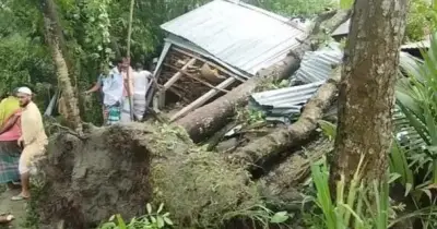 জামালপুরে কালবৈশাখী ঝড়ে মা-মেয়ের মৃত্যু