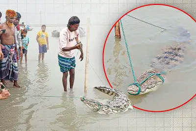বাংলাদেশের নতুন ভিডিও কন্টেন্ট নিয়ে আলোচনা