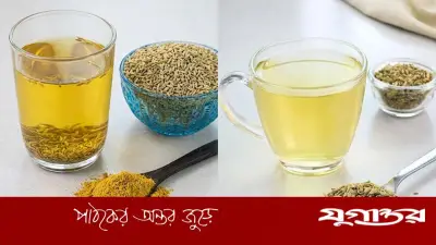 জিরা পানি নাকি মৌরি পানি: রক্তে শর্করা নিয়ন্ত্রণে কার্যকর কোনটি?