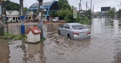 ময়মনসিংহে তিন ঘণ্টায় ৪০ মিমি বৃষ্টি, জলাবদ্ধতা ও চাষিদের বিপাকে