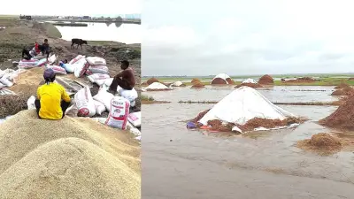 শুকাতে না পেরে নষ্ট হচ্ছে হাজার হাজার মণ ধান; সারজিস হাসপাতালে; রূপপুরে জ্বালানি লোডিং শুরু