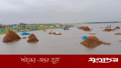 সুনামগঞ্জে উজানের ঢল ও অতিবৃষ্টিতে হাওড়ের ফসল নাজুক, কৃষক উৎকণ্ঠিত