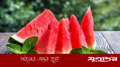 তরমুজ খাওয়া কি প্রাণঘাতী? বিশেষজ্ঞদের ব্যাখ্যা