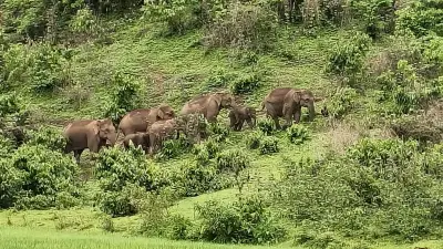 বাংলাদেশের নতুন শিক্ষানীতি চূড়ান্ত অনুমোদন পেয়েছে