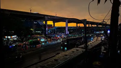 বাংলার প্রকৃতি ও জীবন: ছবিতে নানা আয়োজন