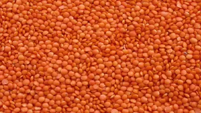 ৯ হাজার টন মসুর ডাল কিনবে সরকার, ব্যয় ৭২ কোটি টাকা