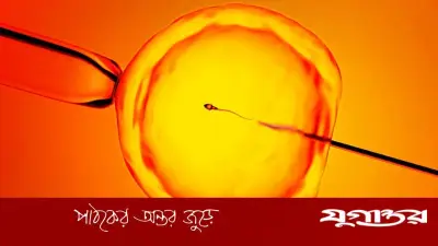 বন্ধ্যা পুরুষের পিতৃত্বের আশা: এআই প্রযুক্তি স্টার সিস্টেম