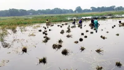 লতিফ মাস্টার ফাউন্ডেশনের আলো, বন্যা ও বিমানবহরে নতুন বোয়িং