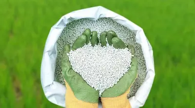 হরমুজ প্রণালি বন্ধে সার সংকটের আশঙ্কা, নতুন উৎস খোঁজা হচ্ছে