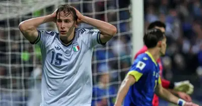 বিশ্বকাপ থেকে ছিটকে গেল ইতালি, বসনিয়ার নাটকীয় জয়