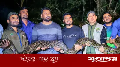 মৌলভীবাজারে ১৪ ফুট লম্বা অজগর সাপ উদ্ধার, লাউয়াছড়া উদ্যানে অবমুক্ত