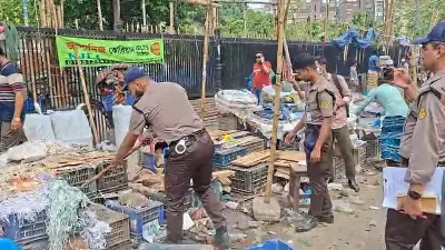 বাংলাদেশে অনলাইন শিক্ষার নতুন সম্ভাবনা: প্রযুক্তির মাধ্যমে শিক্ষার প্রসার