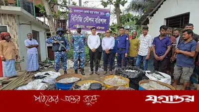 ঝালকাঠির নলছিটিতে কোস্টগার্ডের অভিযানে ১৭০০ কেজি জাটকা জব্দ