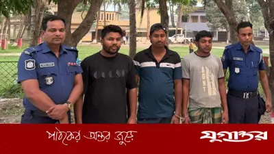 সিংগাইরে অবৈধ মাটি কাটার অপরাধে তিনজনকে কারাদণ্ড, মোবাইল কোর্টের অভিযান