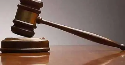 এমপি গিয়াস উদ্দিন কাদের চৌধুরীর দুই ছেলে সামির ও শাকিরসহ তিনজন জামিন পেলেন