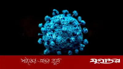 করোনার 'সিকাডা' ভ্যারিয়েন্ট: বিশ্বজুড়ে উদ্বেগ, কতটা বিপজ্জনক?
