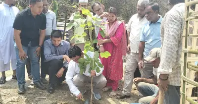 জলবায়ু পরিবর্তন মোকাবিলায় রাঙামাটিতে ৪১ হাজার গাছ রোপণের উদ্যোগ