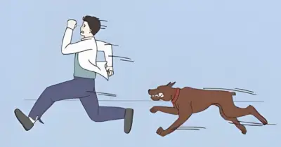 কিশোরগঞ্জের পাকুন্দিয়ায় পাগলা কুকুরের আক্রমণে ৫০ জনের বেশি আহত, হাসপাতালে ভ্যাকসিন সংকট