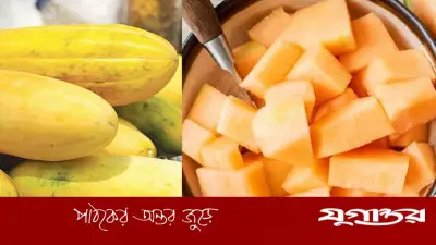 বাঙ্গি খাওয়ার স্বাস্থ্য উপকারিতা: রোগ প্রতিরোধ থেকে ত্বক যত্ন