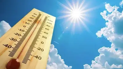 ঢাকাসহ ৫ বিভাগে তীব্র গরমের আভাস, জাতীয় চলচ্চিত্র দিবস আজ শুক্রবার