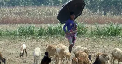 দেশের বিভিন্ন অঞ্চলে মৃদু থেকে মাঝারি তাপপ্রবাহ, আরও বিস্তৃত হতে পারে