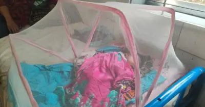 নীলফামারীতে হামের উপসর্গ নিয়ে ছয় শিশু হাসপাতালে ভর্তি, অভিভাবকদের মধ্যে উদ্বেগ