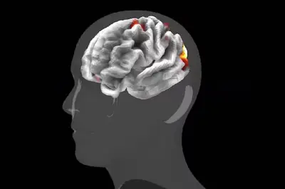 মেটার নতুন এআই মডেল ট্রাইব ভি২ মানুষের মস্তিষ্কের প্রতিক্রিয়া পূর্বাভাস দিতে সক্ষম