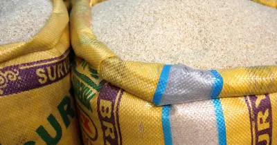 খাদ্য মন্ত্রণালয়ের তথ্য: সরকারি গুদামে ১৯.২০ লাখ টন খাদ্যশস্য মজুদ রয়েছে