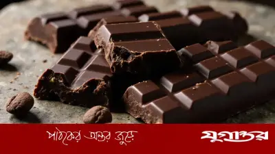 গবেষণা: ডার্ক চকলেট সাময়িকভাবে স্মৃতিশক্তি ও মনোযোগ বাড়াতে পারে
