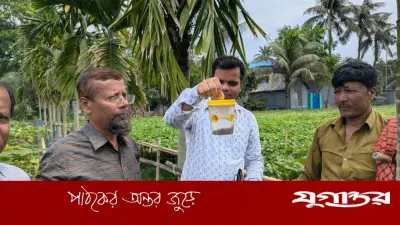 মানিকগঞ্জে শসাখেত পরিদর্শন: কৃষি বিভাগের তৎপরতা, নিম্নমানের বীজে কৃষকের ক্ষতি