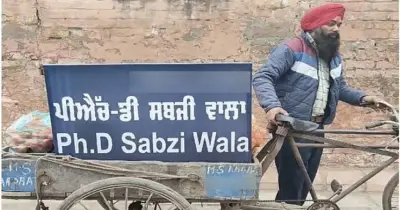 ইন্টারনেট গতি কমতে পারে তিন দিন: সাবমেরিন কেবিল রক্ষণাবেক্ষণ