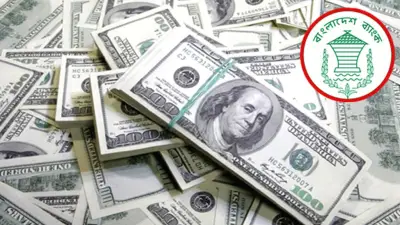 রেমিট্যান্সে রেকর্ড, ওটিটিতে 'চক্র ২' সাড়া, ট্রাম্পের হুমকি ও বিএনপির মনোনয়ন