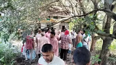 প্রথম আলো ভিডিও: বাংলাদেশের সাম্প্রতিক ঘটনাবলির একটি সংক্ষিপ্ত বিবরণ