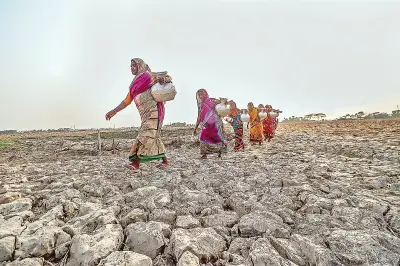 জলবায়ু পরিবর্তনে কয়রার সংকট: ৯৭% পরিবার ক্ষতিগ্রস্ত, নারীদের ঝুঁকি প্রকট