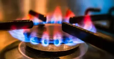 ঢাকা-আশুলিয়া এলিভেটেড এক্সপ্রেসওয়ে নির্মাণে গ্যাস সরবরাহ বন্ধ: তিতাসের ঘোষণা