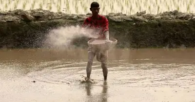 সার সংকটে কৃষি বিপর্যয়: আসন্ন মৌসুমের প্রয়োজনীয় সার সরকারের কাছে নেই