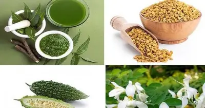 সংক্রান্তিতে তিতা খাওয়ার ঐতিহ্য: জীবন ও প্রকৃতির সঙ্গে মিলনের প্রতীক