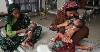 বাংলাদেশে হামের প্রাদুর্ভাব বৃদ্ধি, বিশেষজ্ঞরা সতর্ক করছেন অন্যান্য টিকা-প্রতিরোধযোগ্য রোগের পুনরুত্থানের আশঙ্কা