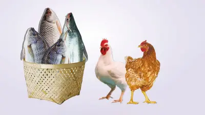 মাছ-মুরগি থেকে সবজি পর্যন্ত নিত্যপণ্যের দামে ব্যাপক ঊর্ধ্বগতি, সাধারণ মানুষের চাপে জীবনযাত্রা