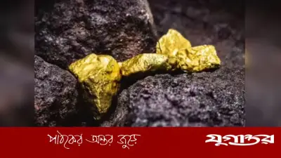 ভারতের মাটির নিচে স্বর্ণের পাহাড়, তবুও আমদানির ওপর নির্ভরতা কেন?