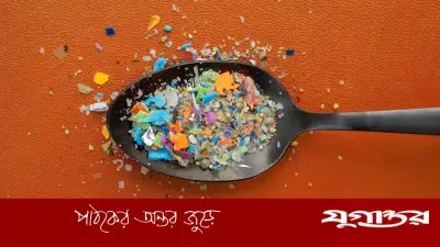 মাইক্রোপ্লাস্টিকের নীরব ঝুঁকি: দৈনন্দিন জীবনে অদৃশ্য বিপদ সম্পর্কে জানুন