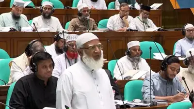 সংসদে ৯১ অধ্যাদেশ বিল পাশ: বিরোধী দল ক্ষুব্ধ, বিএনপি কারচুপি নিয়ে বিতর্ক