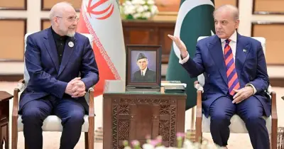 পাকিস্তান-ইরান বৈঠকে আঞ্চলিক শান্তি ও স্থিতিশীলতা জোরদারের প্রতিশ্রুতি