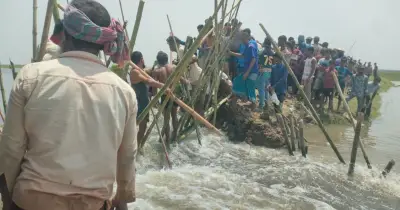 সুনামগঞ্জের দেখার হাওরে বাঁধ ভেঙে ৯ হাজার হেক্টর বোরো ধান তলিয়ে যাওয়ার শঙ্কা