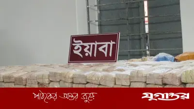 টেকনাফে ২৫ কোটি টাকার ইয়াবা উদ্ধার, মাদক কারবারিরা নদী সাঁতরে পালালো