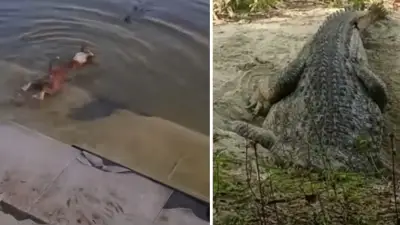 প্রাণী নির্যাতন বন্ধে আইনি নোটিশ, হামলায় শিশু মৃত্যু ও শিক্ষার্থীর আকস্মিক মৃত্যু