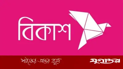 বিকাশে চাকরির সুযোগ: ডেপুটি জেনারেল ম্যানেজার পদে নিয়োগ, বয়সসীমা নেই
