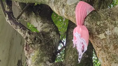 বিভিন্ন খবরের সমাহার: সংগীত নক্ষত্রের বিদায়, শিশু মৃত্যু ও কৃষকের স্বপ্ন