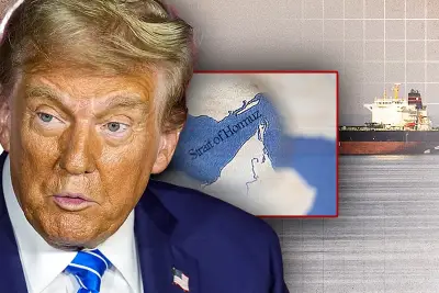 বিশ্বের সবচেয়ে বড় সৌর বিদ্যুৎ কেন্দ্র চালু করেছে চীন, পরিবেশ বাঁচাতে মাইলফলক